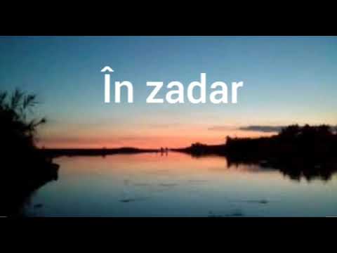 Poezie"În zadar"-Cristian Radu(Nou 2020)