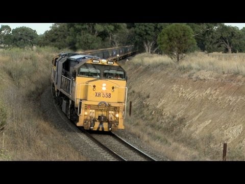 Pacific National Grain Train Heads Towards Inverleigh - PoathTV Australian Trains