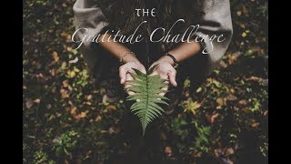 2018 | The Gratitude challenge