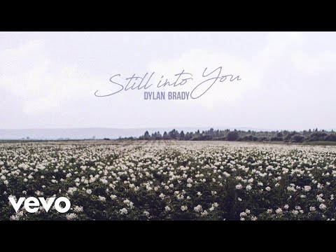Dylan Brady - Still Into You (Official Audio)