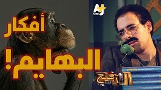 أفكار البهايم عن الإنسان image