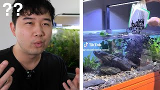 The BEST Way to Stock Your Fish Tank in 2025 | Fish Tank Review 292