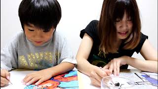 一番くじ ドラゴンボール 残念賞とお絵かき動画