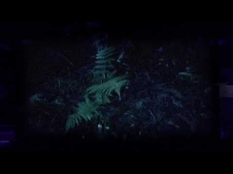 テレビ業界 裏 心霊動画 残酷業界編　CM