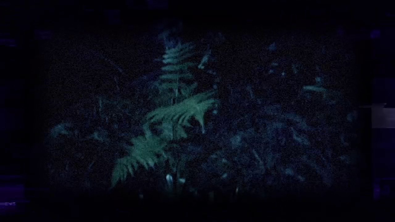 テレビ業界 裏 心霊動画 残酷業界編 CM