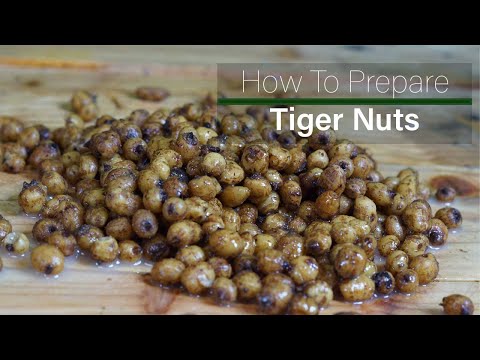 How To Prepare Tiger Nuts For Fishing