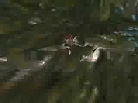 SAGTASL Facu vs DarkStunt