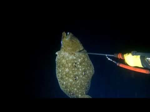 Isdang Pikas o Tampal Puke! Sobrang Sarap ng Huli sa Dagat! Nakakain ka na ba ng ganito??