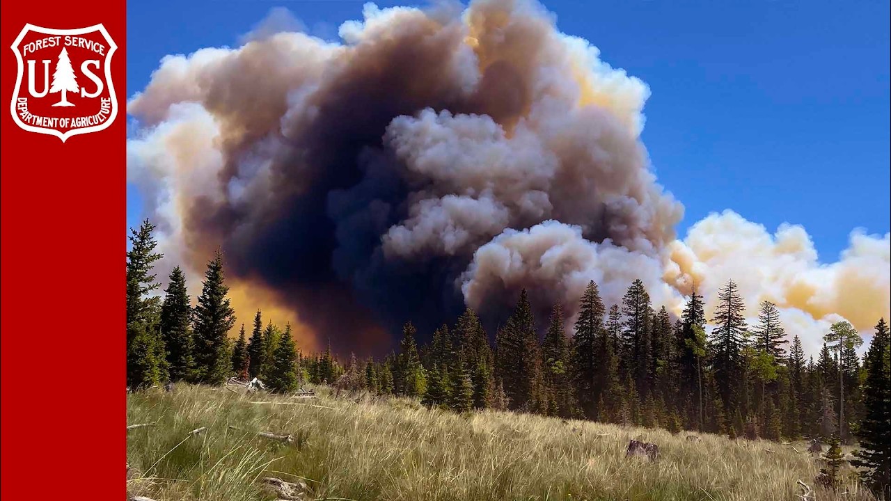 Caring for the land after the fire