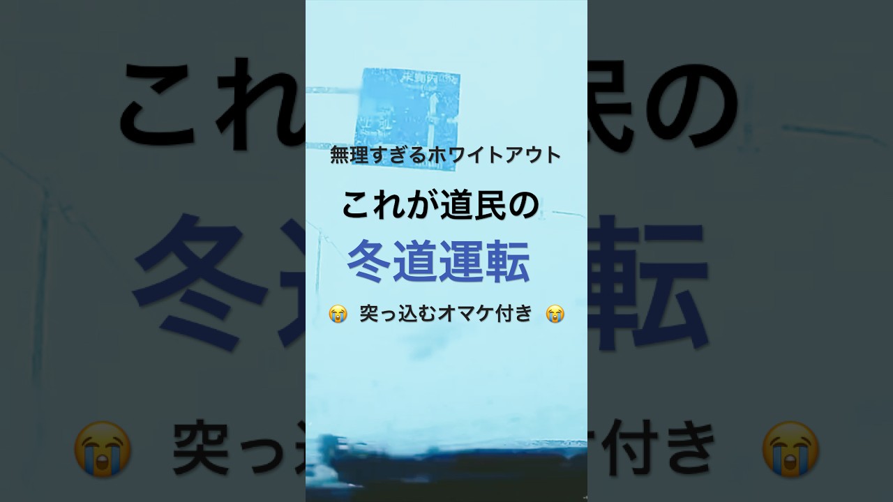 これが道民の冬道運転。全く前が見えないホワイトアウト！曇天+吹雪+強風で前も見えずワイパーも効かず、最後はハンドル取られて… #冬道運転 #冬 #北海道 #走ってみた #shorts