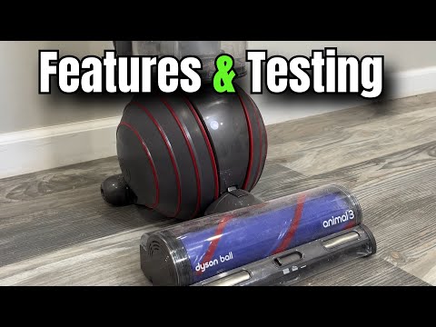 Dyson Ball Animal 3 Review: Is This the Best Pet Hair Vacuum in 2025?