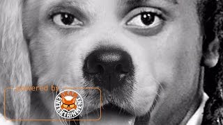 Vershon - Chihuahua (Jahmiel Diss) March 2017