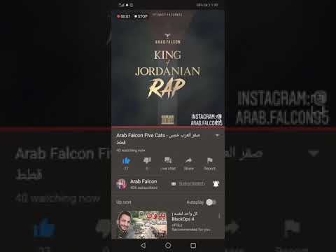 Arab falcon and FLASH RUBICK/ five cat