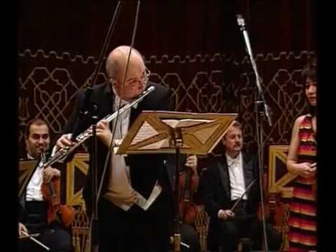 @ionbogdanstefanescu  Dan Dediu, Plastic Rock Concerto (fragment)