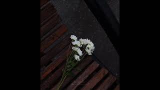 Download lagu Let me down slowly - Alec Benjamin , Alessia Cara Lyrics mp3