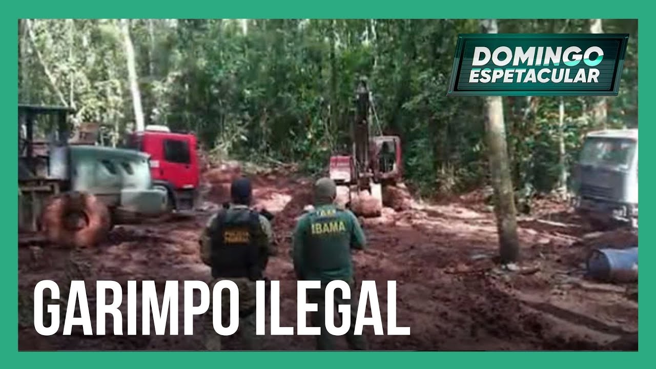 PF e Ibama fazem operação para frear extração ilegal no Mato Grosso