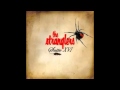 The Stranglers-Summat Outtanowt.avi