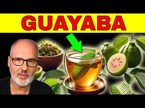 GUAYABA: BENEFITS, USES and RISKS