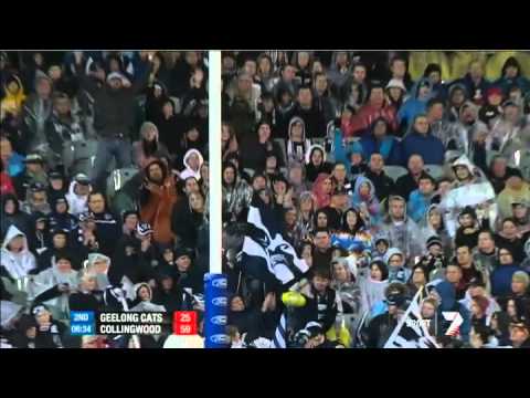 Round 16 AFL - Geelong v Collingwood highlights