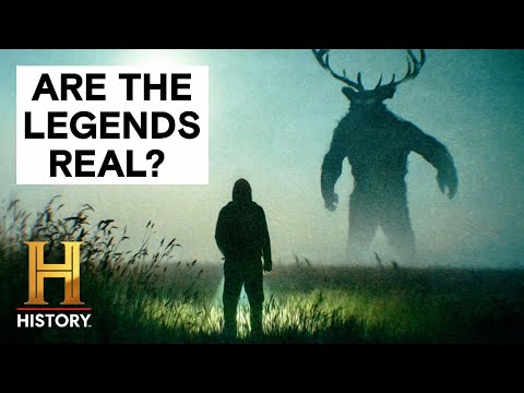Mysterious Creatures: A Closer Look at Unidentified Beings