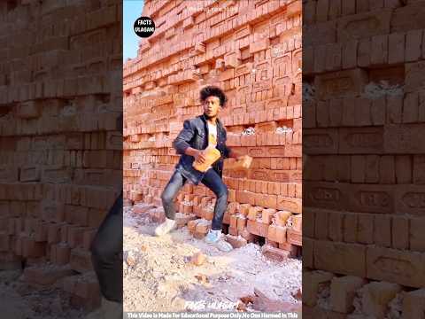 He Built A House Secretly 😳🏠| #factsintamil #factsulagam #short