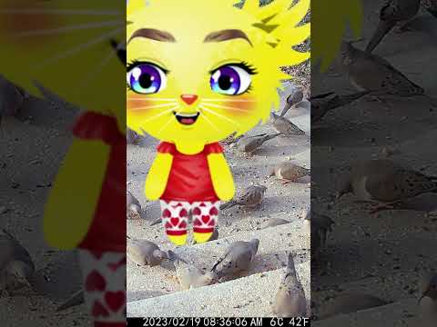 Video cover