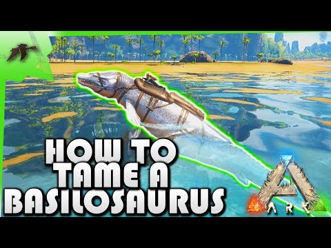 How To Tame A Basilosaurus(EASY!)- Ark Survival Evolved Xbox One- Kamz25