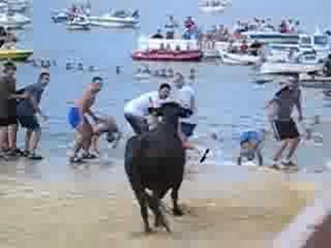 Bous a la Mar - Bulls Running to the Sea - Javea, Fiestas Denia, Spain