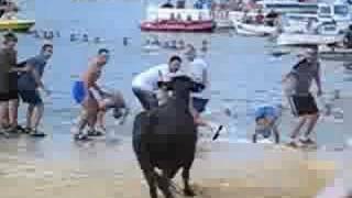 preview picture of video 'Bous a la Mar - Bulls Running to the Sea - Javea, Fiestas Denia, Spain'