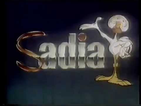 Intervalo Rede Bandeirantes - Reveillón 88 - 31/12/1987 (5/5)