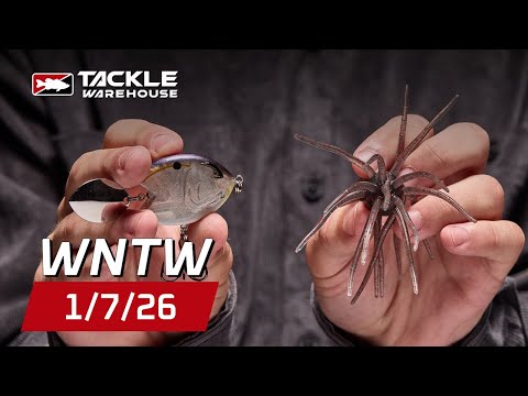 Get Loaded Up With Fresh New Baits For Your Tournament Season From Big Bite Baits, Bill Lewis, & BKK