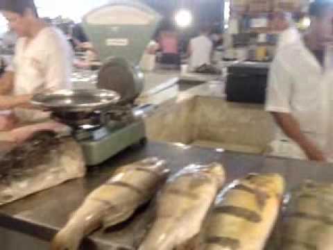 マナウスの魚市場　" Amazon Tropical Fish Market in Manaus Brazil "