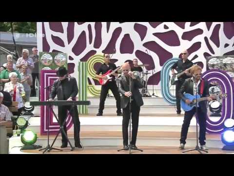 Bee Gees Tribute Band - Tragedy [ZDF-Fernsehgarten] (2016)