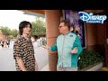 Lofe Vs Disney World