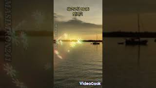 Download lagu story wa hadirmu bagai mimpi#video#shorts#story mp3