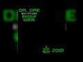 Dr. Dre ft. Snoop Dogg - Next Episode (Caked Up Tree-mix)