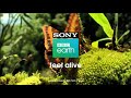 Sony BBC Earth Promos || Sony BBC Earth ||