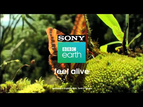 Sony BBC Earth Promos || Sony BBC Earth ||