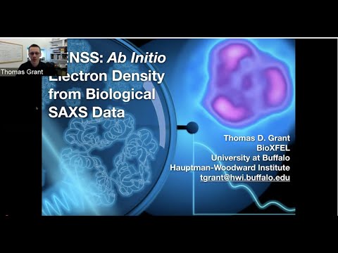 DENSS: Ab Initio Electron Density Maps from Biological SAXS Data 