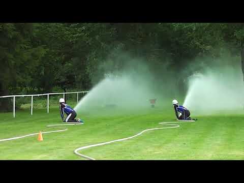 SDH Třeština - VC Třeština 2017