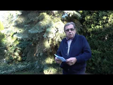 Janusz Gajos - Magdzie Umer urodzinowo