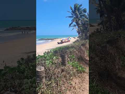 #PraiaDoCoqueirinho ☀️🌊🌴⛱️ #Conde #Paraiba