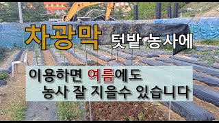 차광막 텃밭 농사에 이용하면 여름에도 농사 잘 지을 수 있습니다. #차광막으로 텃밭농사 짓기