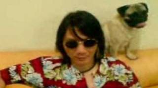 she took a long cold look(syd barrett)by rainbow brehoh