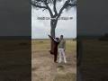 Outfit we wore in Kenya #outfit#safarilook#african
