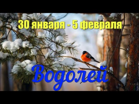 30 января - 5 февраля.ВОДОЛЕЙ ♒️