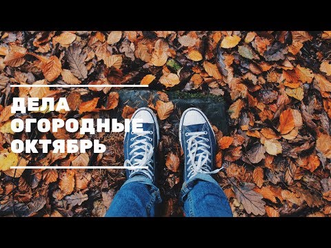 Дела огородные ОКТЯБРЬ. Огород 2019. Жизнь в деревне.