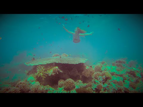 The 3 Tails - A Mermaid Adventure Official Trailer #1 (2015) HD