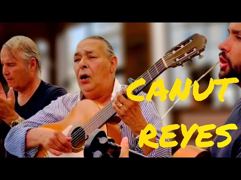 Canut Reyes (gipsy kings) Chiribi * live *