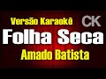 Folha Seca Amado Batista Karaokê
